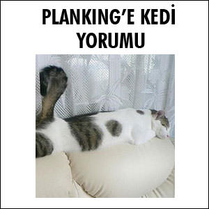 Şimdi de tünüyorlar - 3