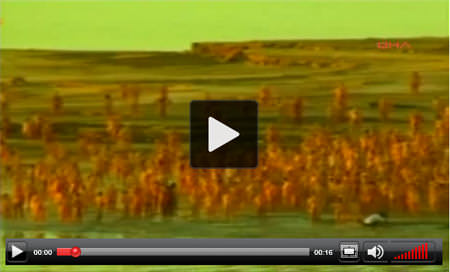 Çıplak pozlar İsrail’i karıştırdı