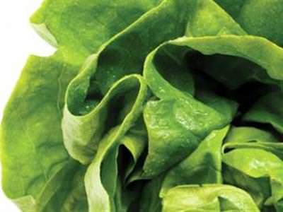 Listeria salgını korkutuyor