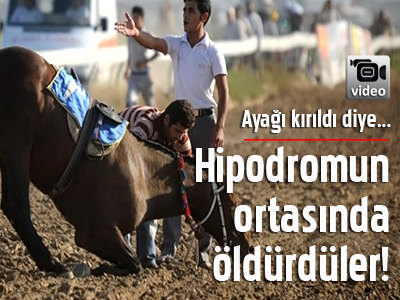 Ayağı kırılan atın boğazını kestiler