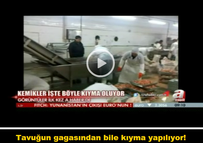 Tavuğun gagasından bile kıyma yapılıyor! - 1