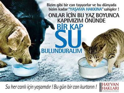 Kapıya bir kap su lütfen