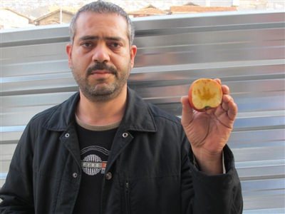 Elmadaki Allah yazısı hayrete düşürdü