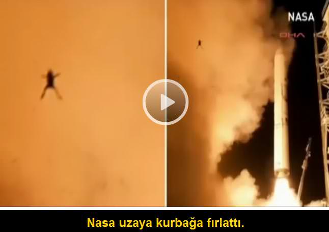 NASA uzaya kurbağa fırlattı!