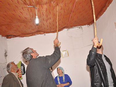 Yılanlar, evlerini istila etti