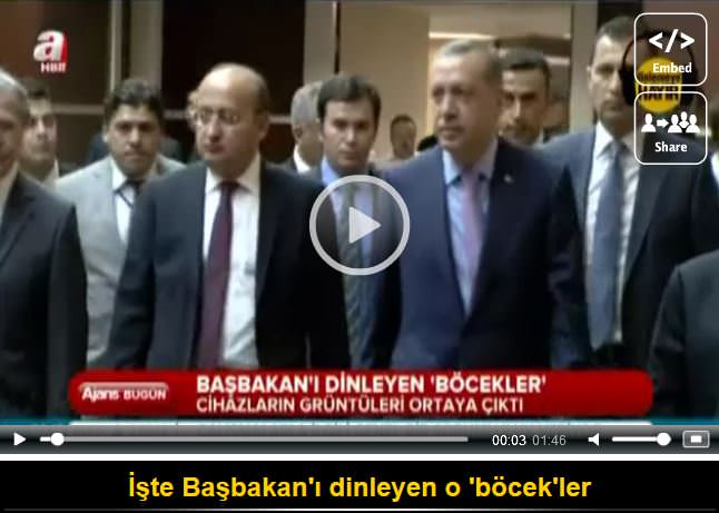 İşte o böcekler