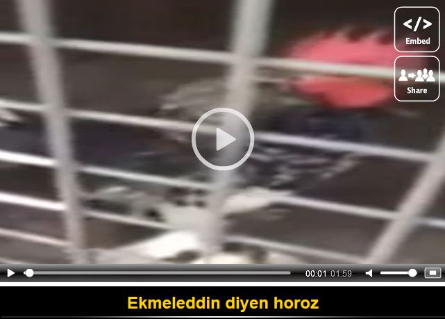 "Ekmeleddin" diye öten horoz