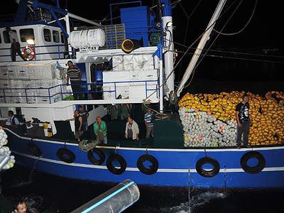 Balıkçılar "vira bismillah" dedi