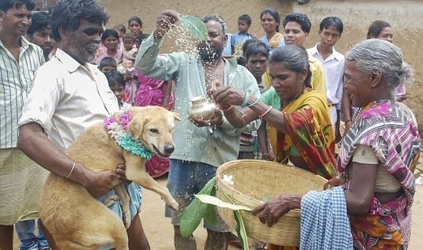 Genç kız köpekle evlenmeye mecbur kaldı - 1