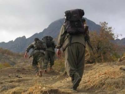 PKK Muş'ta 10 çocuğu kaçırdı