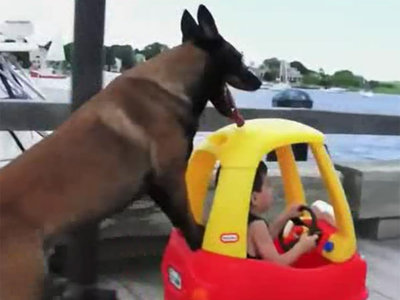 Bekçi köpeği ek işe başladı