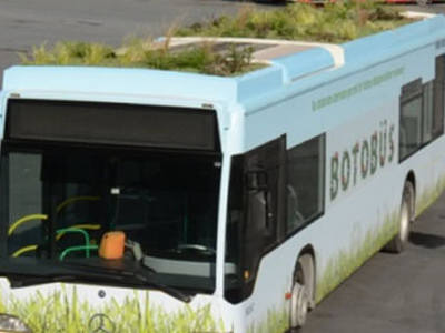 'Botobüs' trafiğe çıktı!
