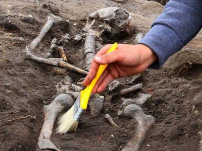 Bulgar ‘Indiana Jones’ vampir mezarı buldu