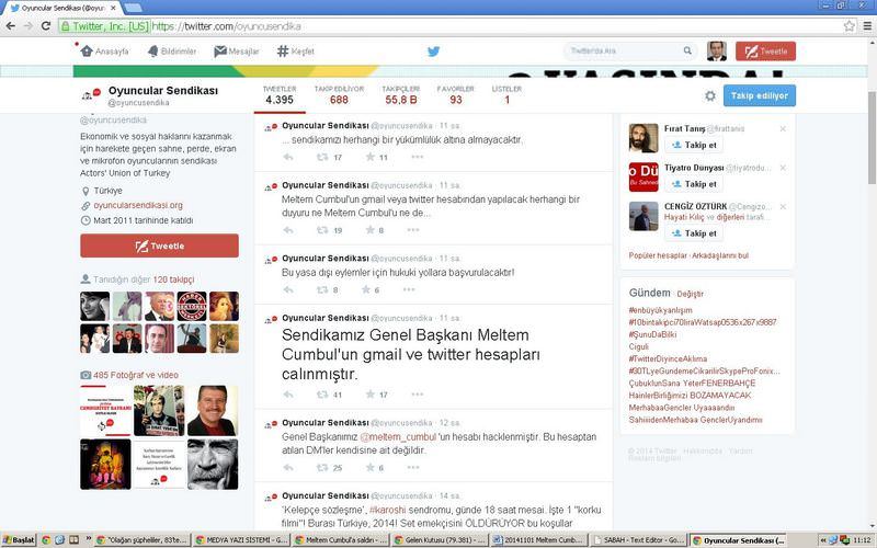 Meltem Cumbul'a sanal saldırı - 1