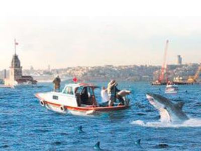 Boğaz canavarı