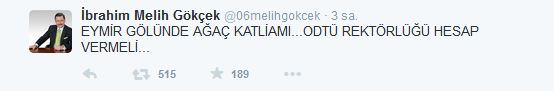 ODTÜ'de ağaç katliamı! - 2