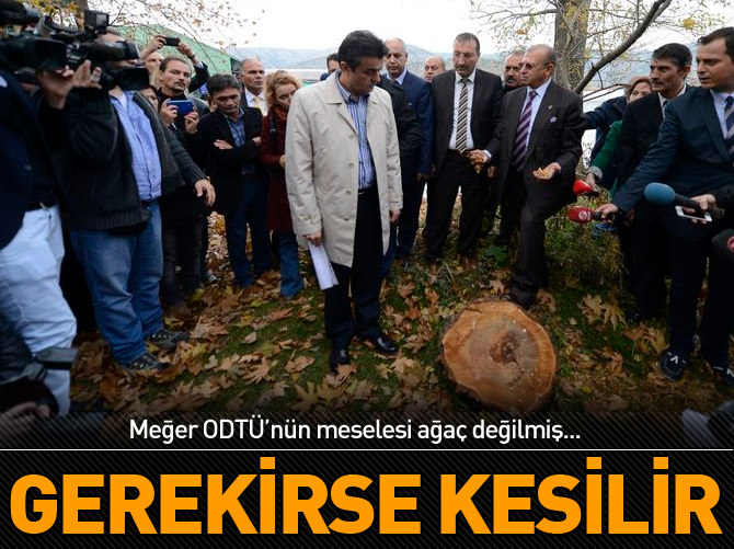 ODTÜ: "Gerekirse ağaç kesilir"