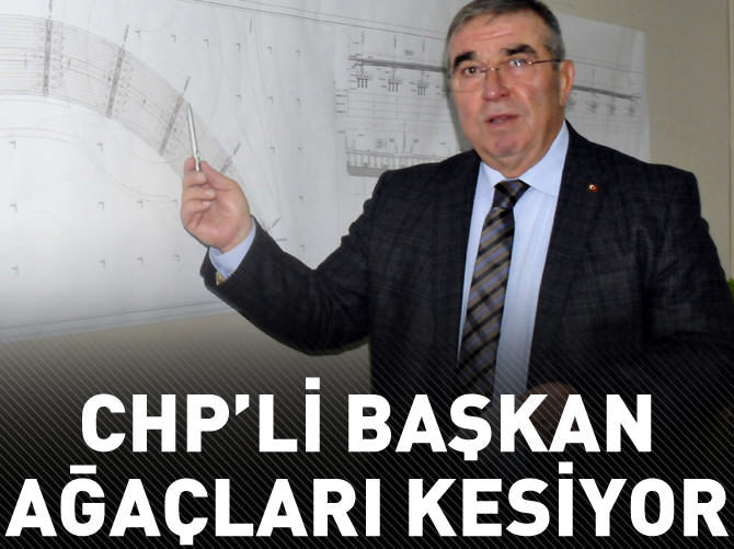 CHP'li başkan ağaçları kesiyor
