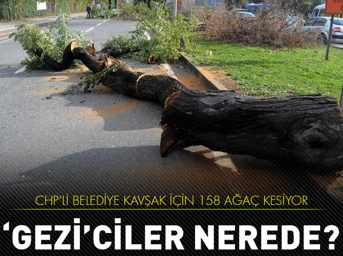 Yalova'da köprülü kavşak için 158 ağaç kesiliyor