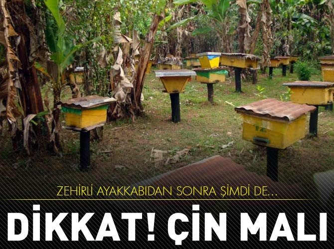 Zehirli ayakkabıdan sonra şimdi de Çin balı!