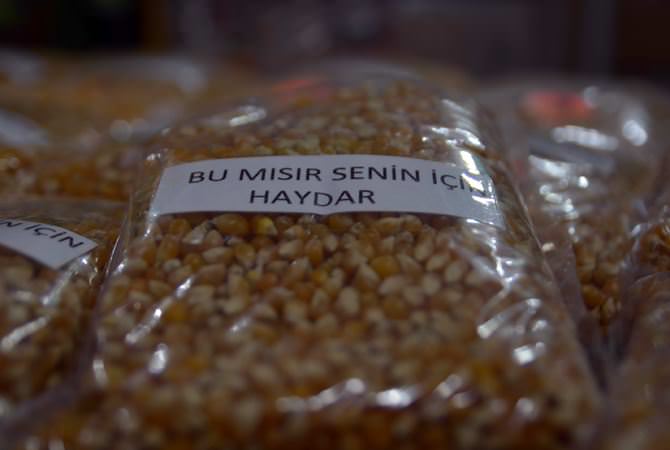 Bu mısır senin için Haydar! - 1