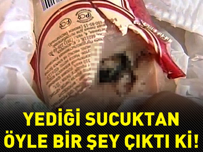Sucuktan çıkan şey şoke etti!