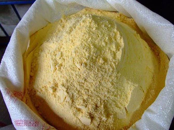 400 ton GDO'lu mısır gluteni ele geçirdi
