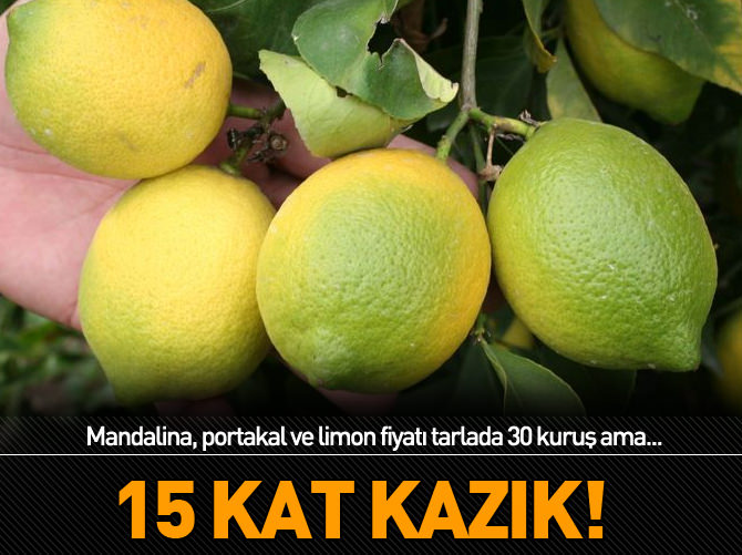 15 kat kazık