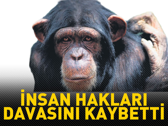 İnsan hakları davasını kaybetti