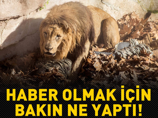 Haber olmak için bakın ne yaptı!