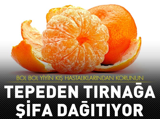 Kanser kalkanı mandalina