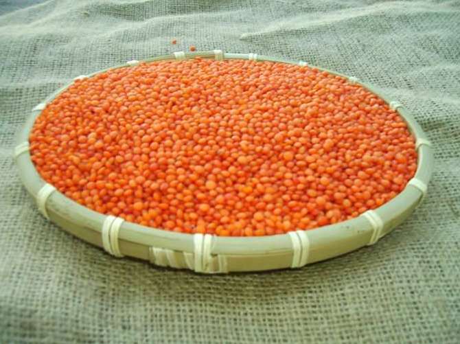Aşkın ilacı mercimek
