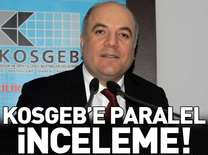 KOSGEB'e paralel inceleme