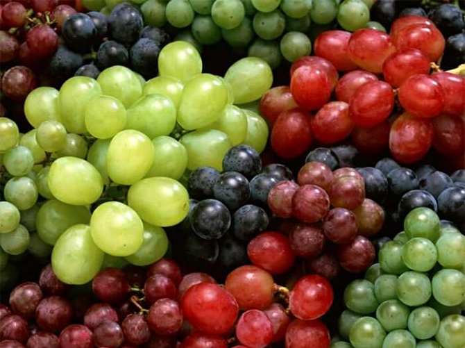 Üzümü ye kiloyu dert etme