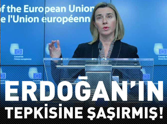 AB Erdoğan'ın tepkisine şaşırmış!