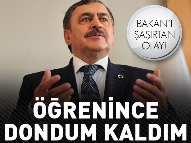 Bakan Eroğlu: Öğrenince dondum kaldım