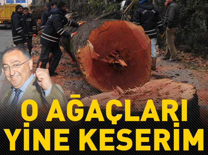 O ağacları yine keserim