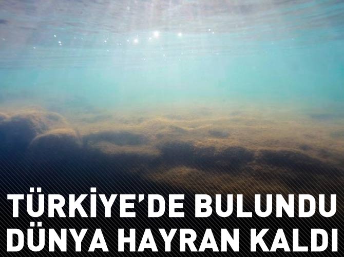2014 yılının en önemli 10 keşfi arasına girdi!