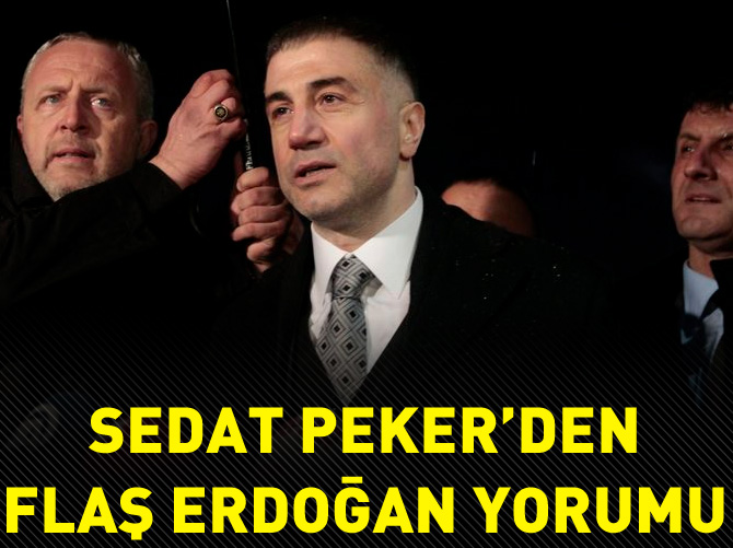 Sedat Peker'den flaş Erdoğan yorumu!