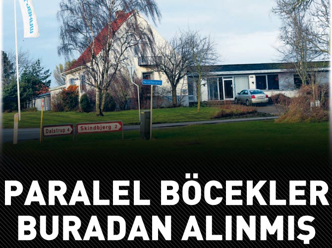 Paralel böcekler buradan alınmış