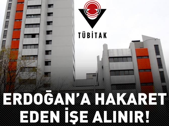 TÜBİTAK'ta paralel sorgu skandalı!