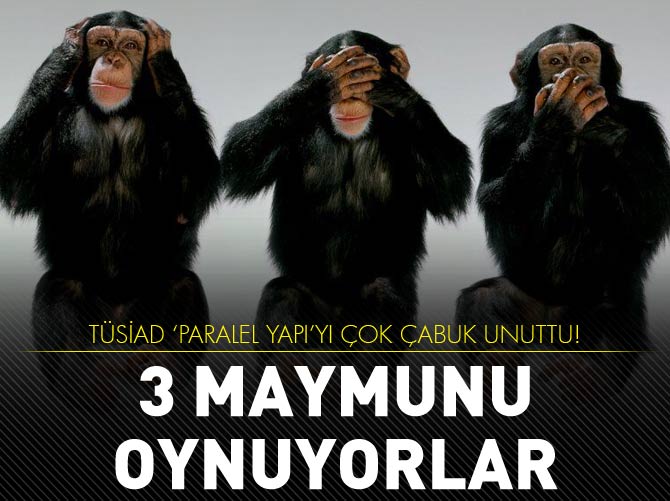 TÜSİAD 3 maymunu oynuyor!