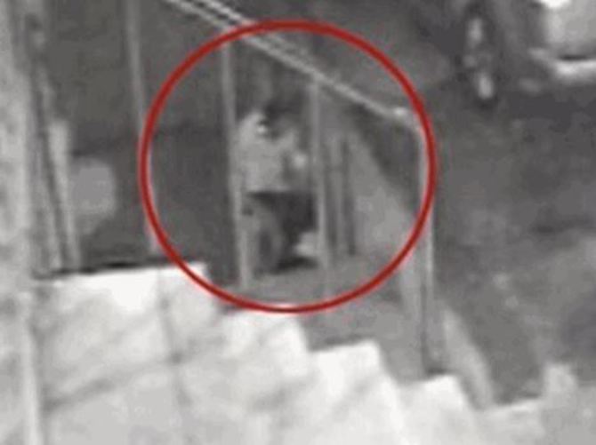 Köpeğe tecavüz davasında karar verildi