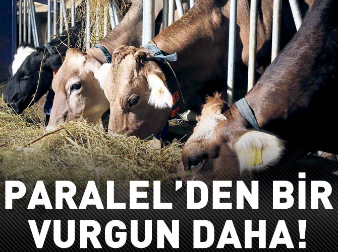 Paralel Yapı'dan bir et vurgunu daha!
