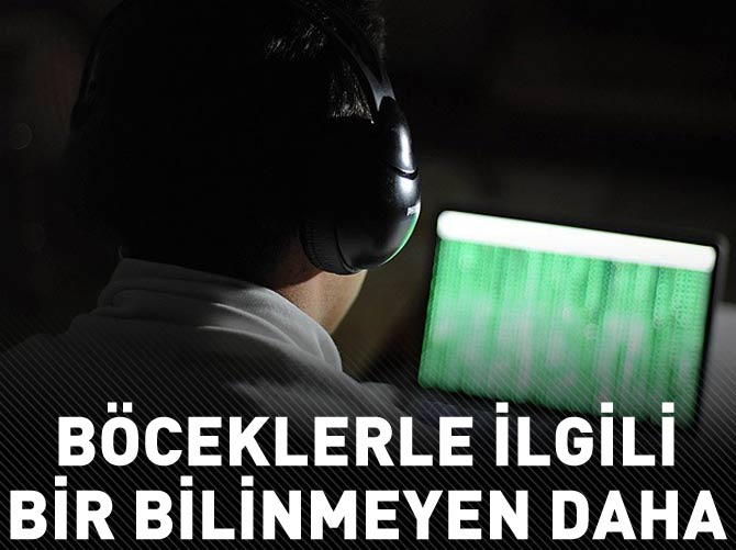 Böceklerle ilgili bir bilinmeyen daha ortaya çıktı