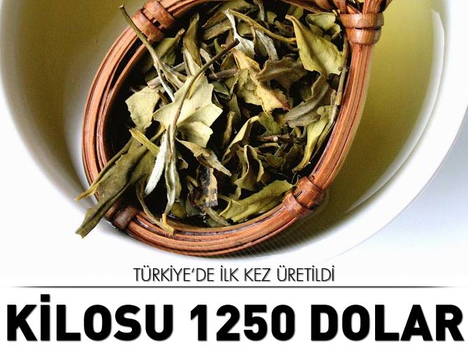 Türkiye'de ilk kez üretildi: Kilosu 1250 dolar