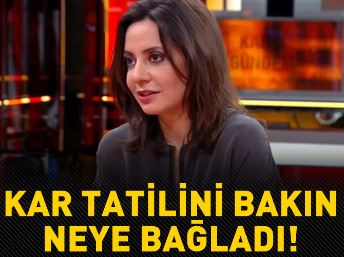 Aslı Aydıntaşbaş'ın garip kar tweet'i