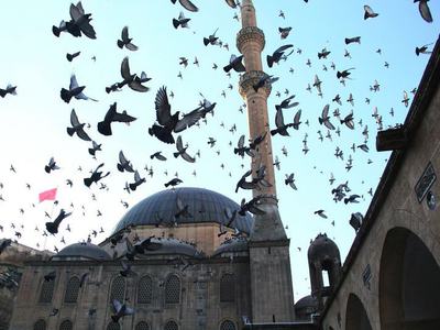 UNESCO'dan dünyaya Suriye ve Irak çağrısı