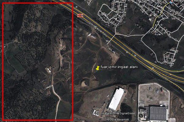 Aziz Kocaoğlu sessiz sedasız ağaçları katletti