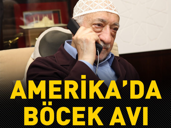 Böceklere adım adım takip